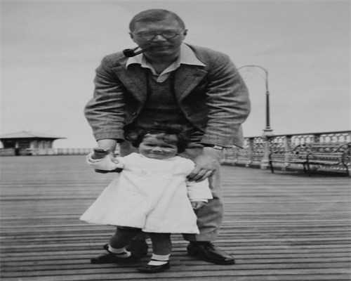 天子助孕中心服务流程详解：从供卵志愿者筛选到移植成功全记录